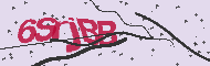 Codice captcha
