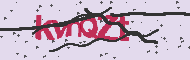 Codice captcha